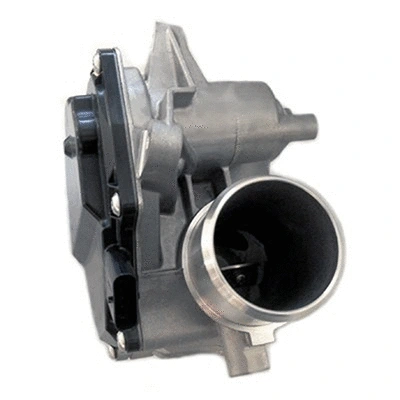 EGR Valve (83.1322)