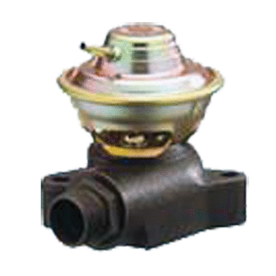 EGR Valve (83.676)