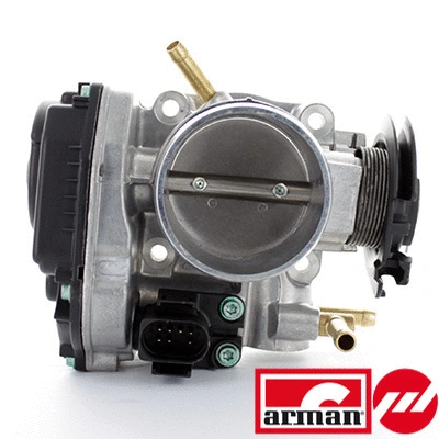 Throttle Body (88.011AS)