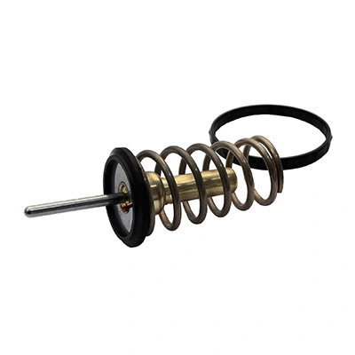 Thermostat, coolant (94.789)