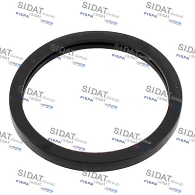 Seal, thermostat (94.01687)