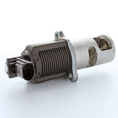EGR Valve (83.719)