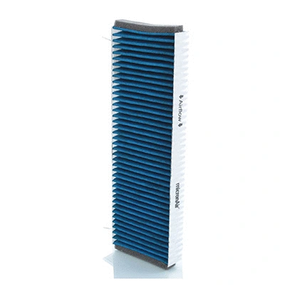 Filter, cabin air (BL685-2)