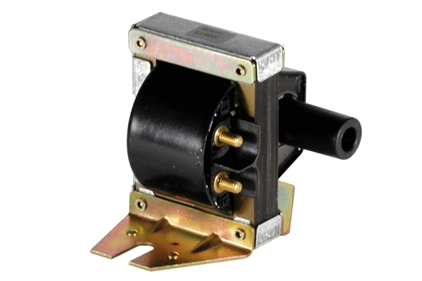 Ignition Coil (85.30113)