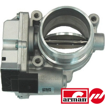 Throttle Body (88.066AS)