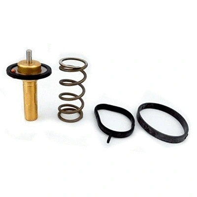 Thermostat, coolant (94.839)