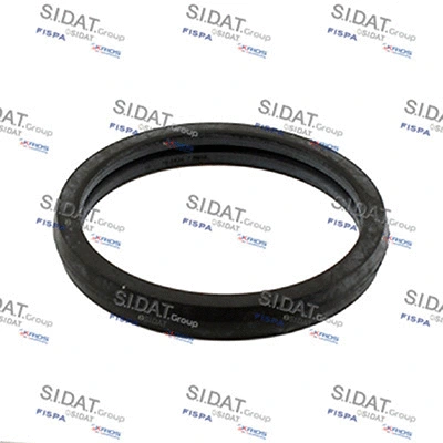 Seal, thermostat (94.01694)