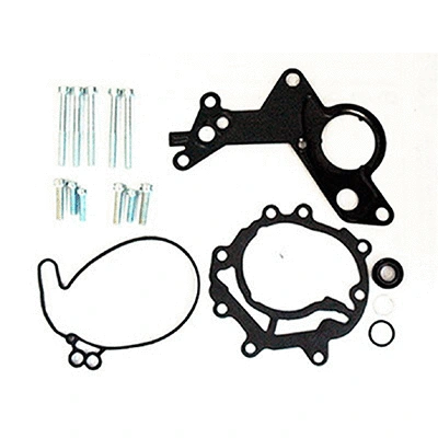 Repair Set, vacuum pump (braking system) (89.256)