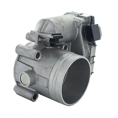 Throttle Body (88.207)