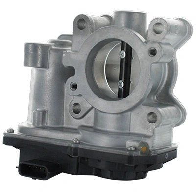 Throttle Body (88.260)