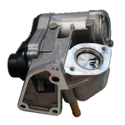 EGR Valve (83.820AS)