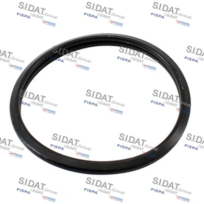 Seal, thermostat (94.01690)