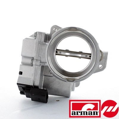 Throttle Body (88.071AS)