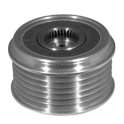 Alternator Freewheel Clutch (455109)