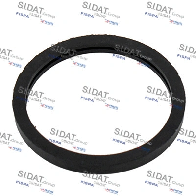 Seal, thermostat (94.01668)