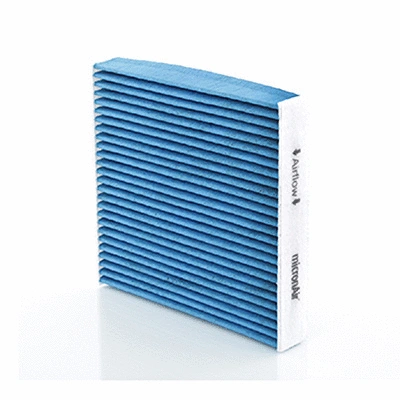Filter, cabin air (BL698)