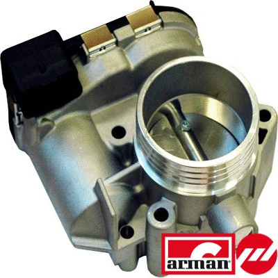 Throttle Body (88.116AS)