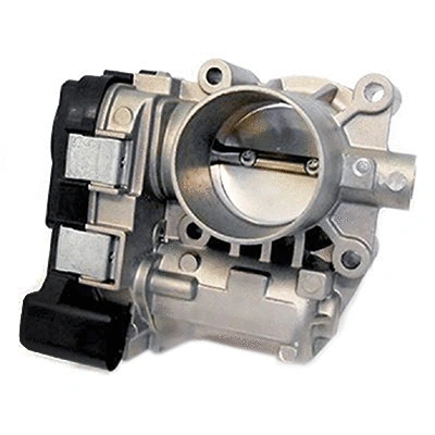 Throttle Body (88.197)