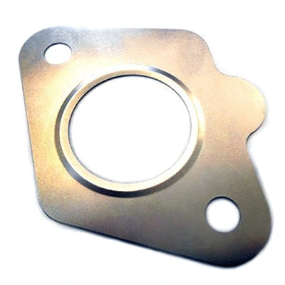 Gasket, EGR valve (83.01606)