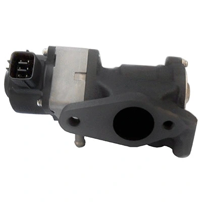 EGR Valve (83.1009)