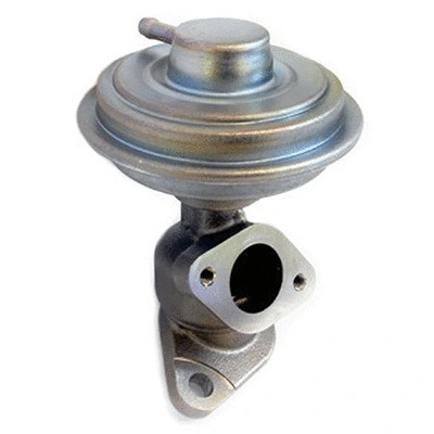 EGR Valve (83.1084)