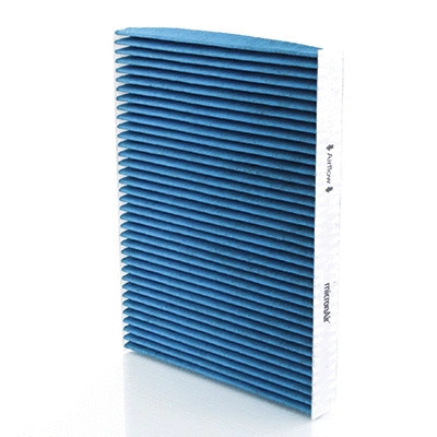 Filter, cabin air (BL592)