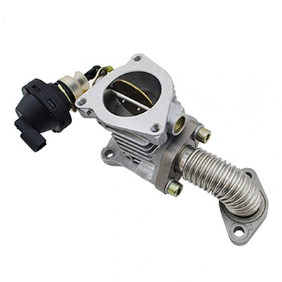 EGR Valve (83.1135R)