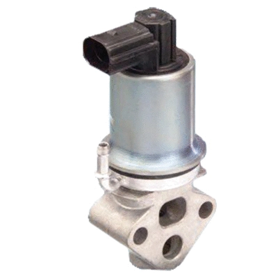 EGR Valve (83.607)