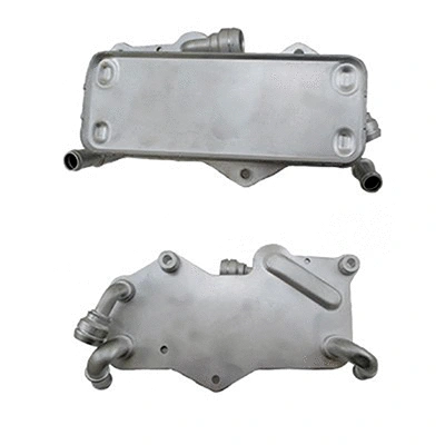 Oil Cooler, engine oil (590184)