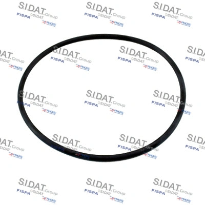Seal, thermostat (94.01655)