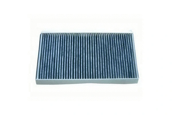 Filter, cabin air (555)