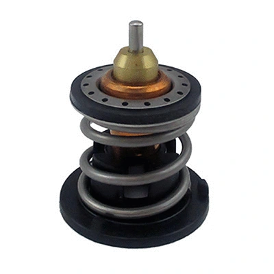 Thermostat, coolant (94.918)