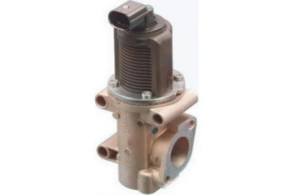 EGR Valve (83.620)