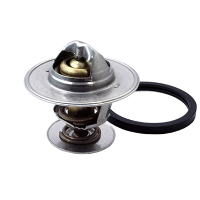 Thermostat, coolant (94.193)
