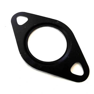 Gasket, EGR valve (83.01610)