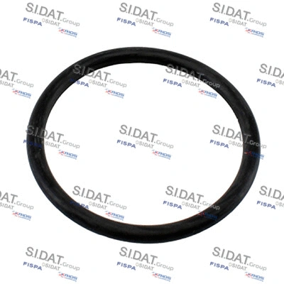 Seal, thermostat (94.01681)