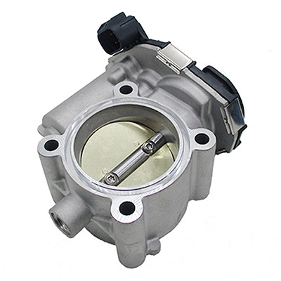 Throttle Body (88.541A2)