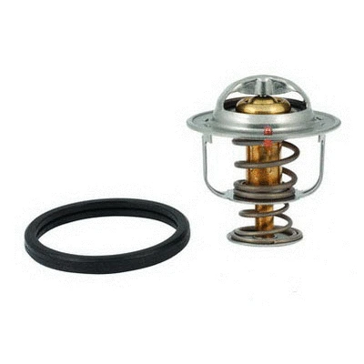 Thermostat, coolant (94.622)