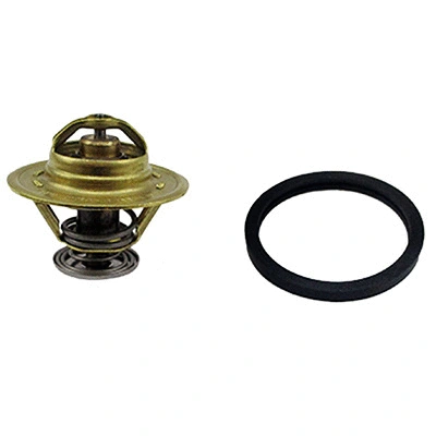Thermostat, coolant (94.237)