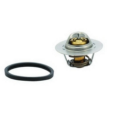 Thermostat, coolant (94.145)