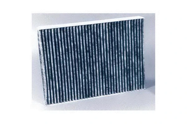 Filter, cabin air (592)