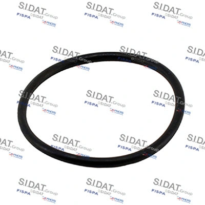 Seal, thermostat (94.01691)