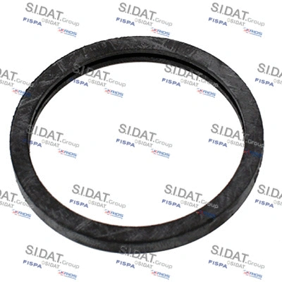 Seal, thermostat (94.01662)