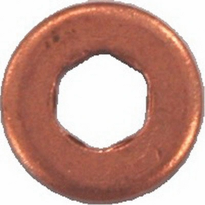 Seal Ring, nozzle holder (81.103)