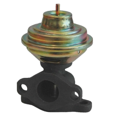 EGR Valve (83.727)