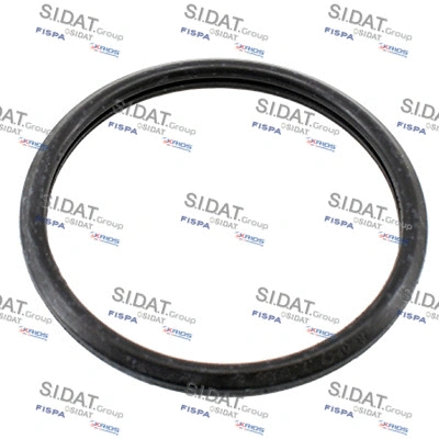 Seal, thermostat (94.01685)