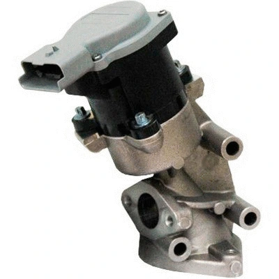 EGR Valve (83.953)