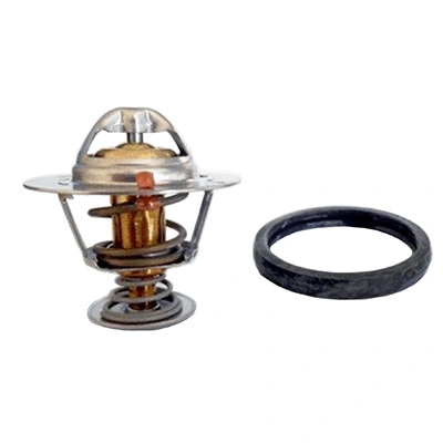 Thermostat, coolant (94.836)