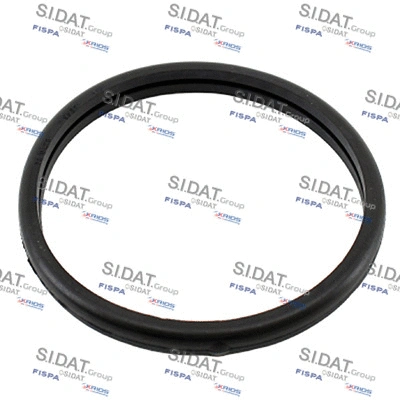 Seal, thermostat (94.01673)