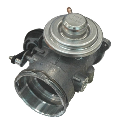 EGR Valve (83.824)